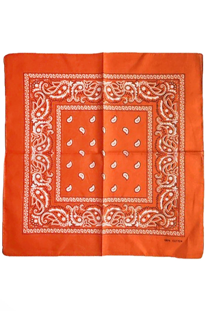 Paisley Print Square Bandanas